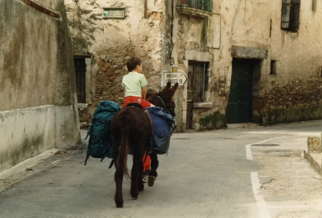 Randonnée en famille avec un âne dans un village cévenol authentique